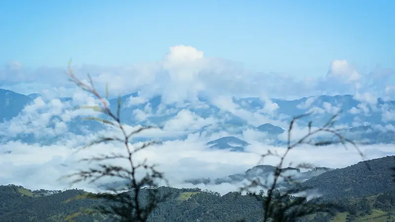 O que fazer em São Lourenço em 3 dias roteiro completo na Serra da Mantiqueira Créditos: Marco Ankosqui - MTUR